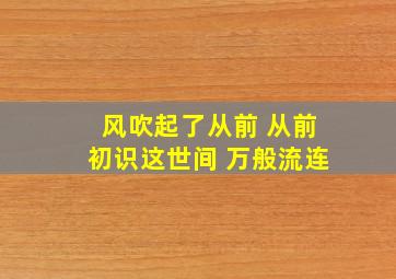 风吹起了从前 从前初识这世间 万般流连